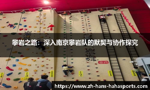 攀岩之路：深入南京攀岩队的默契与协作探究