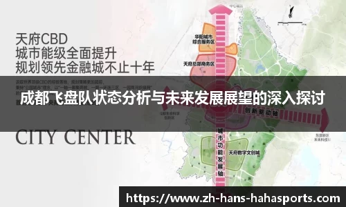 成都飞盘队状态分析与未来发展展望的深入探讨